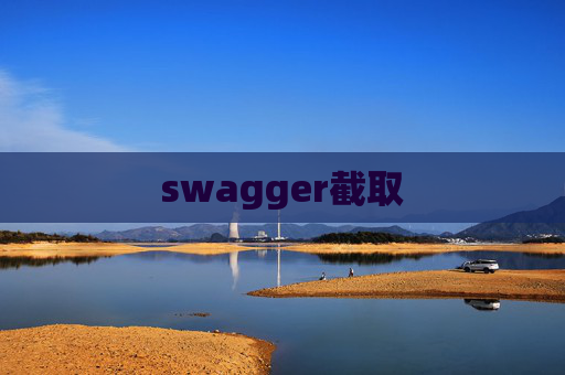 swagger截取